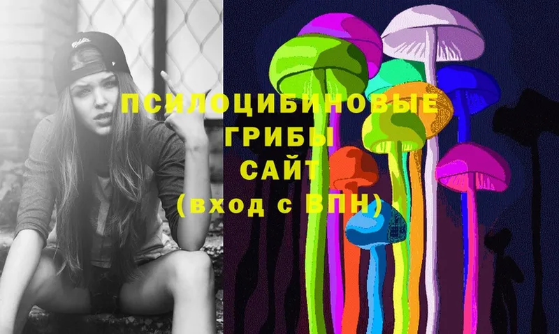 Псилоцибиновые грибы MAGIC MUSHROOMS  где купить наркотик  Абинск 